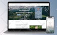 develop an elegant and responsive wordpress website