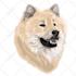 draw your pets photo for poster and custom case
