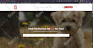 create a travel and tour hotel booking website