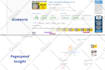 do shopify speed optimization and increase shopify score
