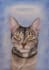 paint adorable watercolor pet portrait