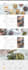 copy wix to wordpress website