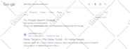 index your website urls in google within 24 hours