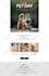 build a clean and mobile responsive wordpress website design