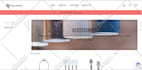 build a professional ecommerce website with shopify