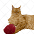 draw cartoon vector pet in 24 hours