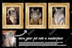 custom royal pet portrait historical renaissance for gift