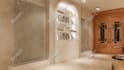 design 3d interior beauty salon,spa,massage corner skincare