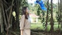 add vfx and create cgi videos for your project