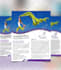 design your professional flyer or business flyer,  brochure