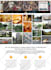 edit or update your existing wordpress website