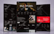 design redesign wordpress website, website development, business website