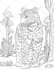 draw coloring book pages or books for adults