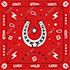 create customized scarf, bandana and hijab textil designs