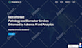 build  responsive wordpress website design, elementor pro website