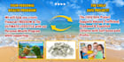 do professional social media management for any organization