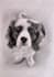 hand made hyper realistic pencil sketch