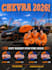 do graphic design, vector, flyers, logo editing, photoshop, indesign
