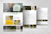 develop wordpress website, ecommerce store, custom website