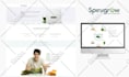 fix wp errors, php bugs, http errors 404 500 and security issues