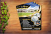 do stationary with logo, business card, letterhead, envelop