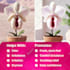 design amazon listing images, infographics and lifestyle images