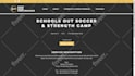 provide wix website design and wix development by velo coding  or wix code