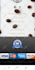 optimized wordpress speed, fixed core web vitals, and improved loading time
