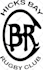 refine and vectorize existing logo