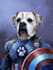create custom super hero pet portrait