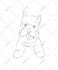 draw beautiful  minimalist one line drawing