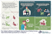 design graphical abstracts, diagrams and scientific illustrations