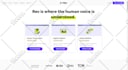 do regression testing for your web, android, or IOS apps