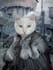 create pet portrait from your pet photos