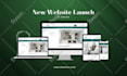 provide godaddy website design and website development services
