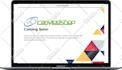 design wordpress woocommerce ecommerce website