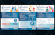 do professional flyer brochure and price catalogue design