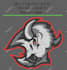 do rhinestone design for you