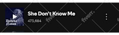 do spotify music promotion through effective ads campaign