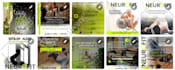 grow your law firm social media with strategic content