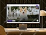 do website UI UX design, dashboard uiux design, mobile app UI UX design in figma