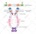 design graphical abstracts, medical and scientific illustrations and figures