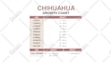 recreate your graphic table or chart in powerpoint
