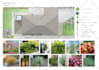 create landscape planting plan