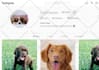 social media manager and content creator for all platforms