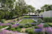 do backyard landscape design, patio, pool, garden 3d rendering, landscape design