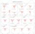 design graphical abstracts, medical and scientific illustrations and figures