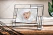 photoshop editing, realistic photo manipulation, and creative design composition