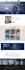 design and develop a professional wordpress website and blog