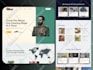 build wordpress website development, business website, wordpress website design
